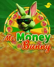 Mr. Money Bunny