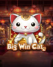 Big Win Cat