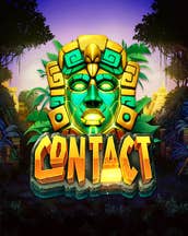 Contact