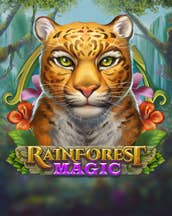 Rainforest Magic