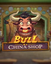 Bull in a China Shop