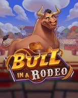 Bull in a Rodeo