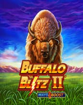 Buffalo Blitz II  