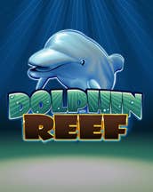 Dolphin Reef