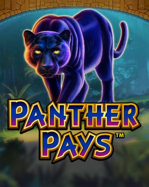 Panther Pays 