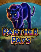 Panther Pays