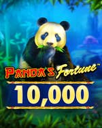 Panda Gold 10.000
