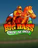 Big Bass Day at the Races