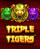 Triple Tigers