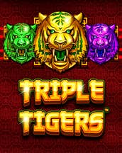 Triple Tigers