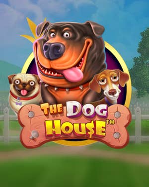 The Dog House