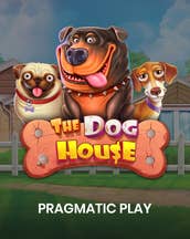 The Dog House