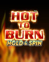 Hot to Burn Hold and Spin