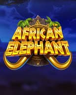 African Elephant