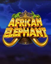 African Elephant