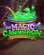 The Magic Cauldron