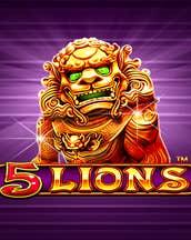 5 Lions