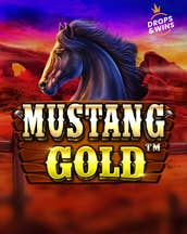 Mustang Gold