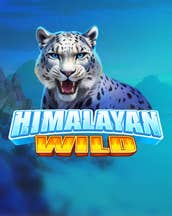 Himalayan Wild