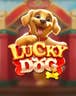 Lucky Dog