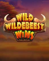 Wild Wildebeest Wins