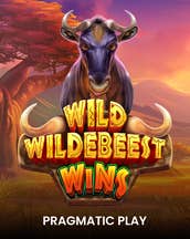 Wild Wildebeest Wins