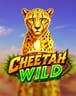 Cheetah Wild