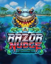 Razor Nudge