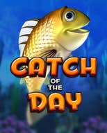 Catch of the Day