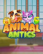 Animal Antics
