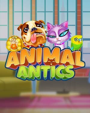 Animal Antics