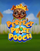 Perfect Prize Pooch