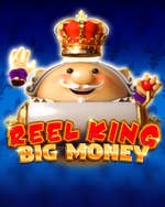 Reel King Big Money