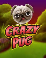 Crazy Pug