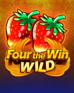 Four the Win Wild