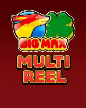 Big Max Multi Reel