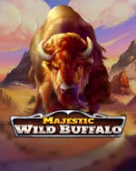 Majestic Wild Buffalo