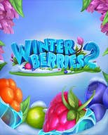 Winterberries 2