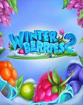 Winterberries 2
