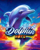 Dolphin Hot 1