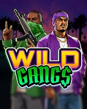 Wild Gangs